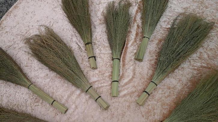 Delicha Gras 2 bundels - Enkelvoudige zaden - Winkel en Webs, Dieren en Toebehoren, Vogels | Toebehoren, Nieuw, Eten en Drinken