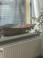 Schelpen schaal erickuster, Ophalen of Verzenden, Nieuw