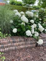 Sierbestrating, Tuin en Terras, Tegels en Klinkers, Ophalen, Gebruikt, Overige typen, 5 tot 10 m²
