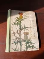 Brocante, vintage album Cartes Postales - thematisch, Antiek en Kunst, Curiosa en Brocante, Ophalen of Verzenden