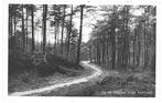 957513	Veluwe Gld	boschpad Poststempel Kootwijkerbroek	1942, Verzamelen, Ansichtkaarten | Nederland, Ophalen of Verzenden, 1940 tot 1960