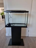 Diverse Aquarium 60 liter veel toebehoren alles in een koop, Dieren en Toebehoren, Ophalen, Gebruikt, Leeg aquarium