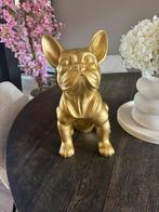 Franse bulldog beeld goud., Verzamelen, Beelden en Beeldjes, Ophalen, Zo goed als nieuw