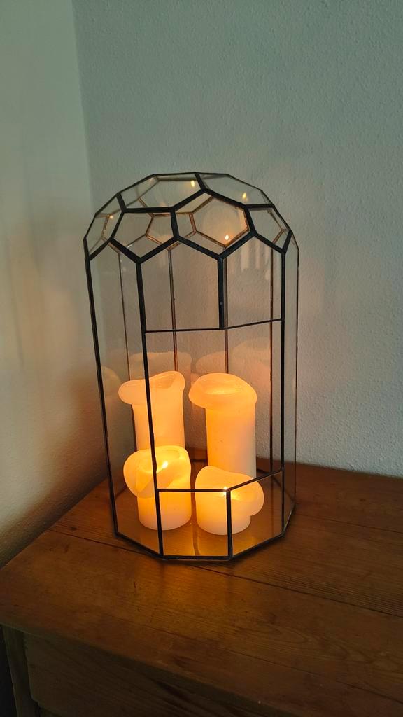 Franse stolp / vintage kweekkastje, Antiek en Kunst, Curiosa en Brocante, Ophalen
