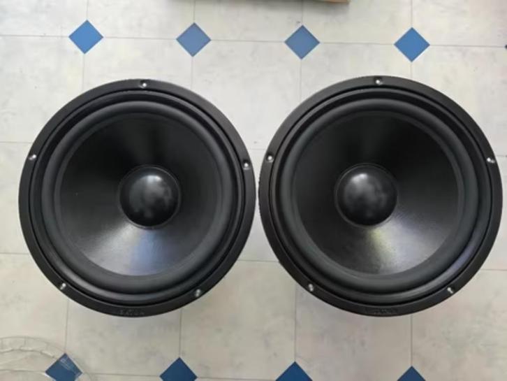 Visaton: W 300 S- 8 ohm luidsprekers., Audio, Tv en Foto, Luidsprekers, Zo goed als nieuw, Subwoofer, 120 watt of meer, Overige merken