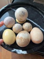 3 ei-vormige en 4 sphere kristallen/edelstenen, Ophalen of Verzenden, Nieuw