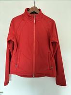 LeMieux Hybrid Jacket Sienna Maat M (38) - Nieuw!, Ophalen of Verzenden, Nieuw, Maat 38/40 (M), Rood