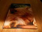 Poezen en Katers, Ophalen of Verzenden, Zo goed als nieuw, Katten
