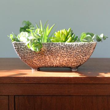 vintage keramiek BLOEMPOT cactusbak planten pot berkenbast beschikbaar voor biedingen