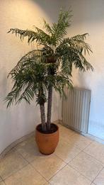 Kunst palmboom ca. 1,90 meter, Ophalen, Palm, Halfschaduw, In pot