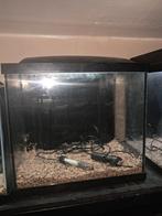 Aquarium, Dieren en Toebehoren, Vissen | Aquaria en Toebehoren, Ophalen, Leeg aquarium