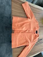 Opus jasje/vest / mt 42 / weinig gedragen, Kleding | Dames, Ophalen of Verzenden, Zo goed als nieuw, Maat 42/44 (L), Oranje