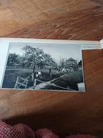 Knipsel bloeiende boomgaard aan de Lek bij Culemborg 1931, Ophalen of Verzenden, 1920 tot 1940, Knipsel(s)
