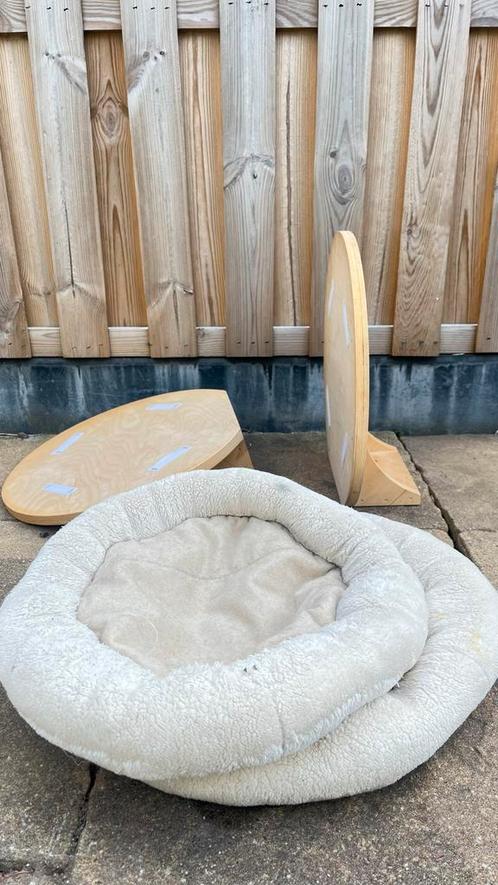 Set katten wandplanken met mandje | kattenmand, Dieren en Toebehoren, Overige Dieren-accessoires, Zo goed als nieuw, Ophalen