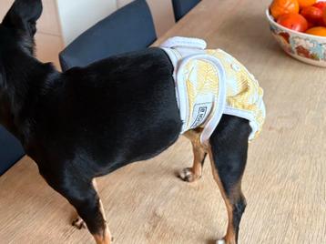 Wasbaar luiertje voor loopse hond, verstelbaar beschikbaar voor biedingen