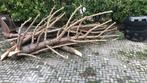 haardhout, Tuin en Terras, Haardhout, Minder dan 3 m³, Ophalen, Overige houtsoorten, Stammen