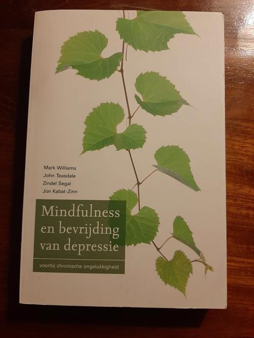 Mark Williams - Mindfulness en bevrijding van depressie, Boeken, Psychologie, Zo goed als nieuw, Ophalen of Verzenden