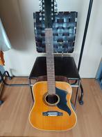 12-snarige Eko Gitaar - Zeer goed bespeelbaar!, Ophalen of Verzenden, Gebruikt, Western- of Steelstringgitaar, 12-snarig