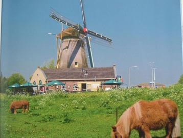 De korenmolen Windlust van Nootdorp.