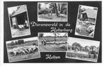 Holten dierenwereld in de Holterberg, Verzamelen, Ansichtkaarten | Nederland, 1960 tot 1980, Ongelopen, Ophalen of Verzenden, Overijssel
