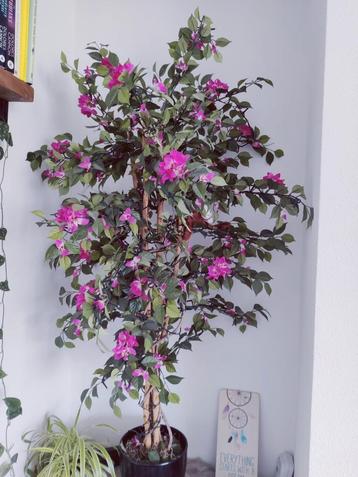 Prachtige kunstboom / plant beschikbaar voor biedingen
