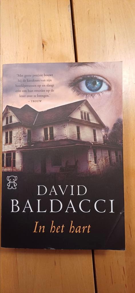 David Baldacci - In het hart, Boeken, Thrillers, Gelezen, Nederland, Ophalen of Verzenden