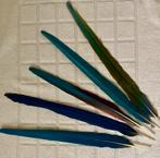 Ara staartveren, Ophalen of Verzenden, Zo goed als nieuw, Materiaal