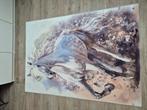 Vloerkleed paard, Ophalen of Verzenden, Zo goed als nieuw, Rechthoekig, 200 cm of meer