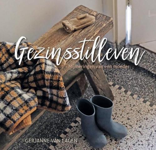 Gezinsstilleven  Gerjanne van Lagen  9789087189389, Boeken, Psychologie, Zo goed als nieuw, Sociale psychologie, Ophalen of Verzenden