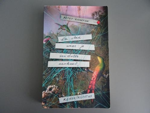 Peter Cameron - De stad waar je ten slotte aankomt, Boeken, Romans, Zo goed als nieuw, Ophalen of Verzenden