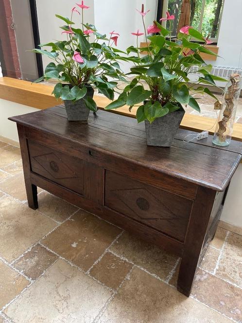 Dekenkist antiek, Huis en Inrichting, Woonaccessoires | Kisten, Gebruikt, 50 tot 75 cm, 50 tot 75 cm, 100 tot 150 cm, Eikenhout