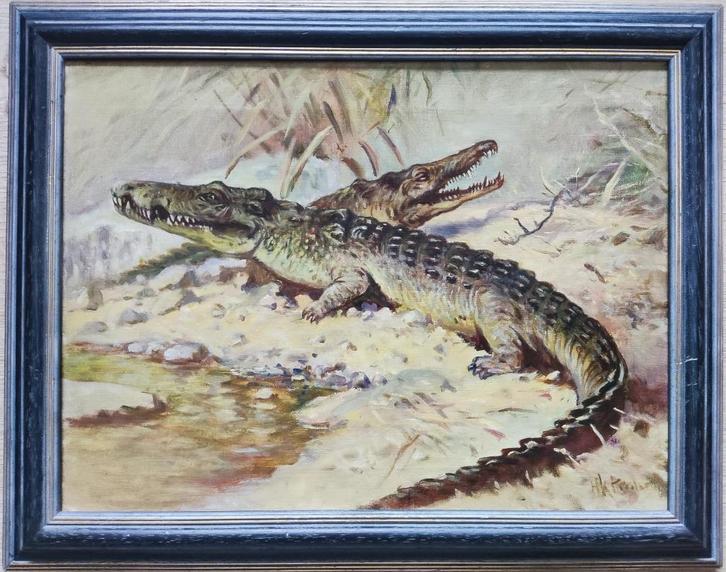 Henk Poeder sr. (1897-1958) - Twee krokodillen, Antiek en Kunst, Kunst | Schilderijen | Klassiek, Ophalen of Verzenden