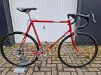Gazelle Special met div.Campagnolo 60 cm., Fietsen en Brommers, 57 tot 61 cm, Ophalen, Zo goed als nieuw, Gazelle