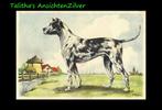 🔶🔶Pax Steen, serie dieren Honden (2), Verzamelen, Ophalen of Verzenden, 1940 tot 1960, Ongelopen, Hond of Kat