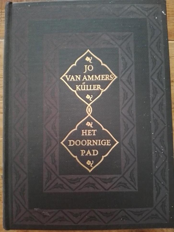Het Doornige pad - Jo van Ammers Küller, Antiek en Kunst, Antiek | Boeken en Bijbels, Ophalen of Verzenden