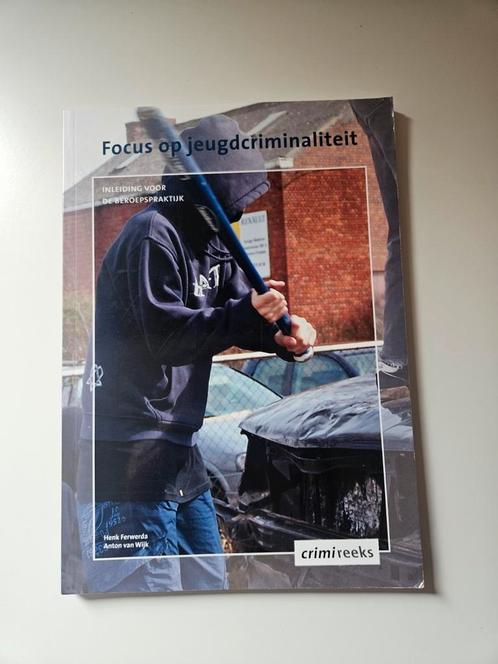 Anton van Wijk - Focus op jeugdcriminaliteit, Boeken, Studieboeken en Cursussen, Zo goed als nieuw, HBO, Ophalen of Verzenden