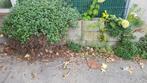 Bloembakken - klein en groot - gratis ophalen, Tuin en Terras, Bloembakken en Plantenbakken, Ophalen, Gebruikt, Minder dan 30 cm
