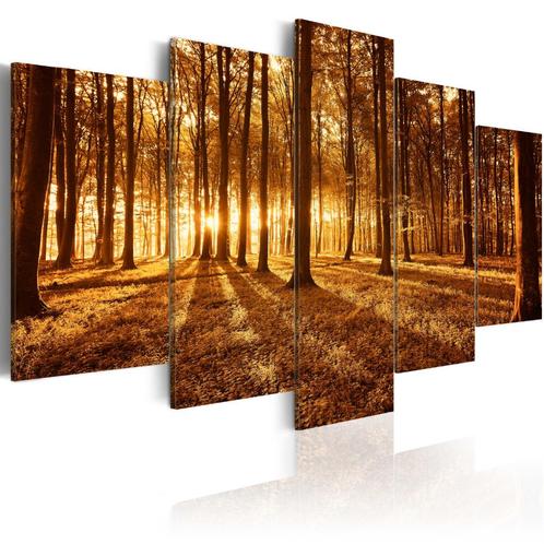 145 Zonlicht Bos Natuur 5 Luik Canvas Schilderij 200x100cm, Antiek en Kunst, Kunst | Schilderijen | Klassiek, Ophalen of Verzenden