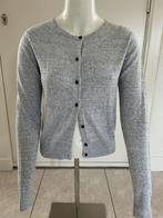 Grijs vest mt 36, H&M, Ophalen of Verzenden, Zo goed als nieuw, Maat 36 (S)