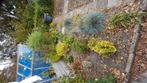 Zaden voor moestuin gevraagd, Tuin en Terras, Bloembollen en Zaden, Ophalen of Verzenden, Volle zon