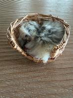 Schattig mandje met slapend hondje voor groot poppenhuis, Ophalen of Verzenden, Zo goed als nieuw, Poppenhuis