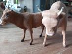 Oude flock os, Ophalen