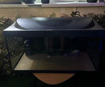 Tetra starter line aquarium 54Liter beschikbaar voor biedingen
