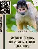 Apenheul 4 toegangskaarten, Drie personen of meer, Ticket of Toegangskaart