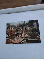 DE  EFTELING. "DE INDISCHE WATERLELIES", Ophalen of Verzenden