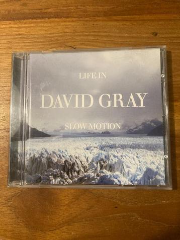 David Gray - Life in slow motion beschikbaar voor biedingen