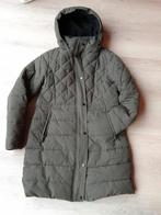 Bien Bleu gewatteerde winterjas M, Kleding | Dames, Jassen | Winter, Ophalen of Verzenden, Zo goed als nieuw, Groen