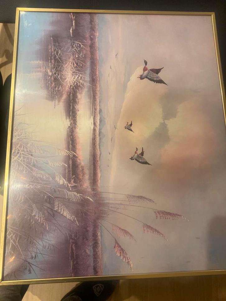 Klassiek Schilderij Eenden in Landschap Gouden Lijst 60x50cm, Antiek en Kunst, Kunst | Schilderijen | Klassiek, Ophalen of Verzenden