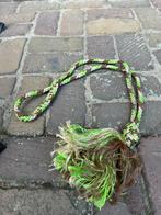 Neckrope pony, Ophalen of Verzenden, Zo goed als nieuw, Overige soorten