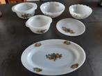 Acropal France onderdelen set "Fruits de France", Antiek en Kunst, Antiek | Servies los, Ophalen of Verzenden